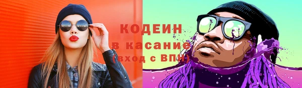 индика Армянск