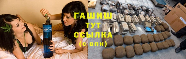 индика Армянск
